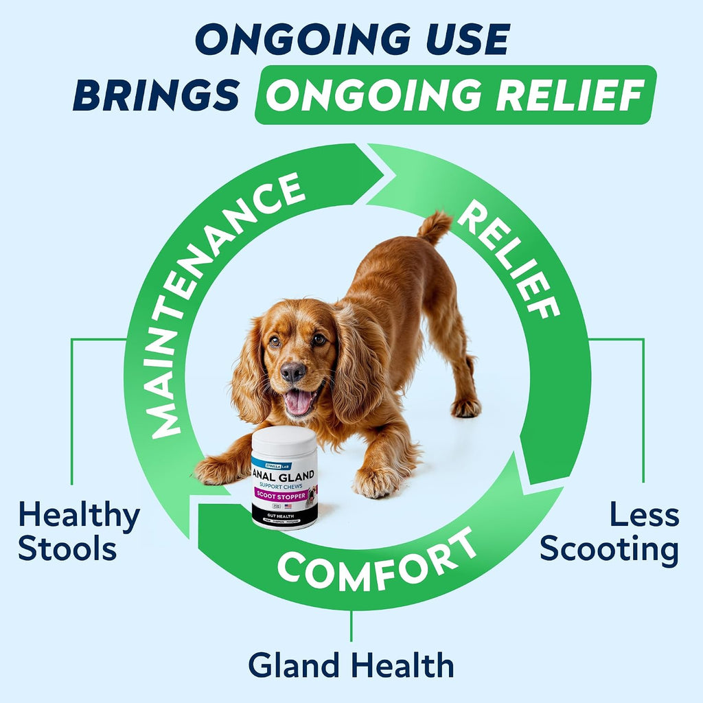 STRELLALAB Anal Gland Support Chews - Suplemento Digestivo con Fibra y Prebióticos para Perros, 120 masticables