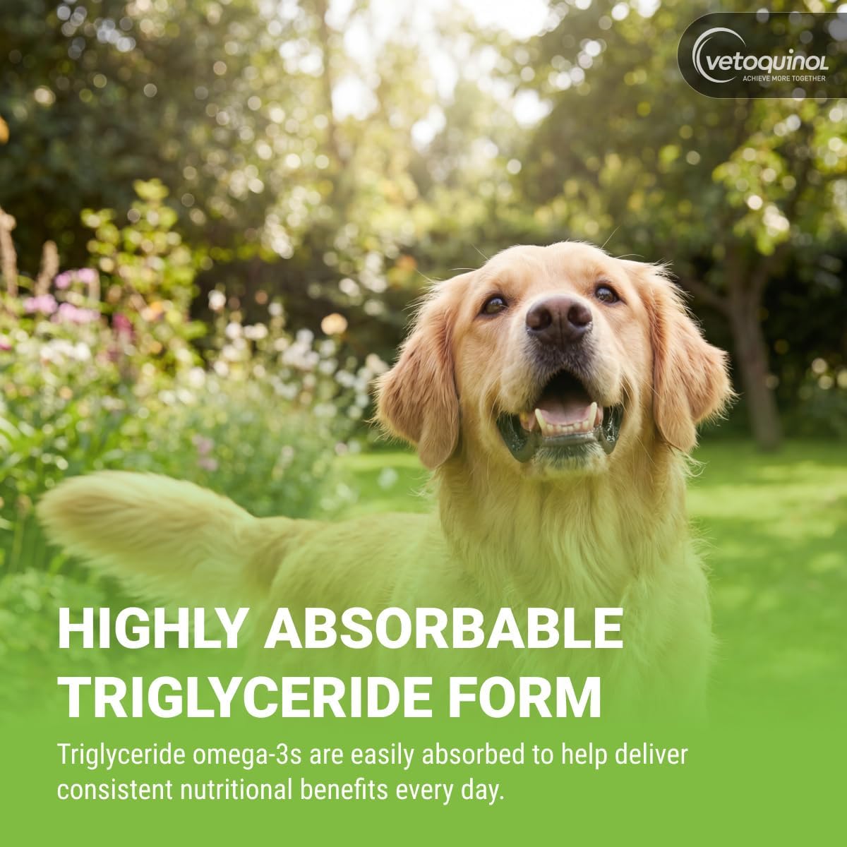 Vetoquinol Triglyceride Omega - Aceite de Pescado para Perros y Gatos - Favorece la Piel Saludable, el Pelaje y la Respuesta Inmunitaria Normal - Suplemento con Mezcla de Vitaminas para el Corazón, los Ojos, los Huesos y los Músculos - 8 oz (237 ml)