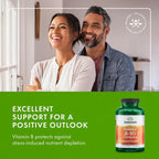 Swanson Balance B-50 Complejo de Vitaminas B de Alta Potencia, 250 Cápsulas (Paquete de 2)