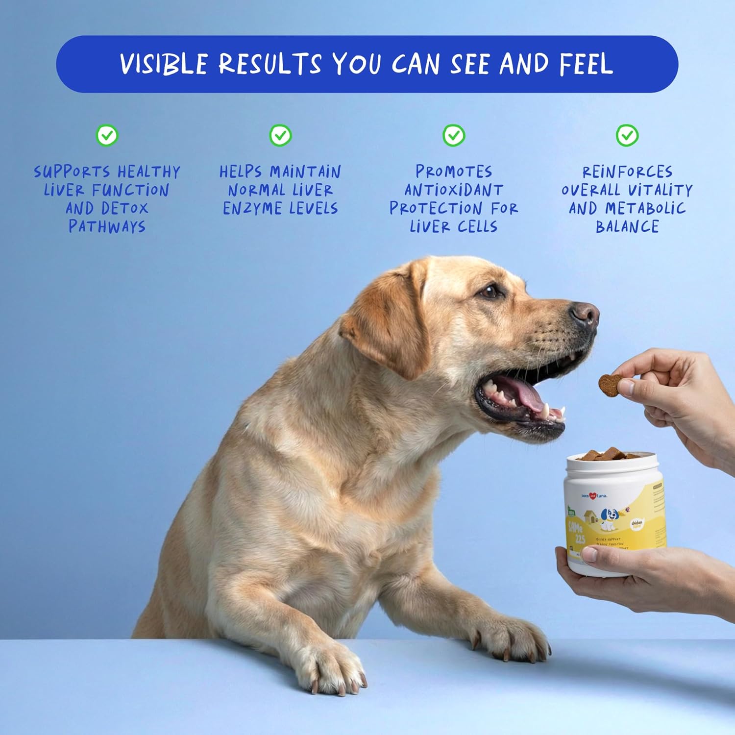 Same para Perros 90 Masticables Suaves - Apoyo Hepático, Cerebral y Cognitivo