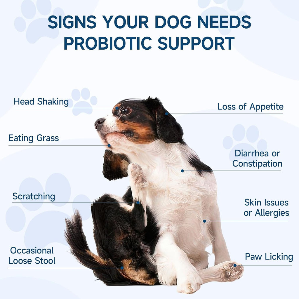 Woyamay Probióticos para Perros, 200 Snacks Blandos - Salud Digestiva e Inmunidad