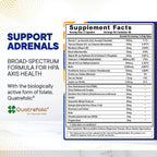 BioMatrix Complejo B con Adaptógenos, Cortisol y 5-MTHF | 120 Cápsulas Veganas