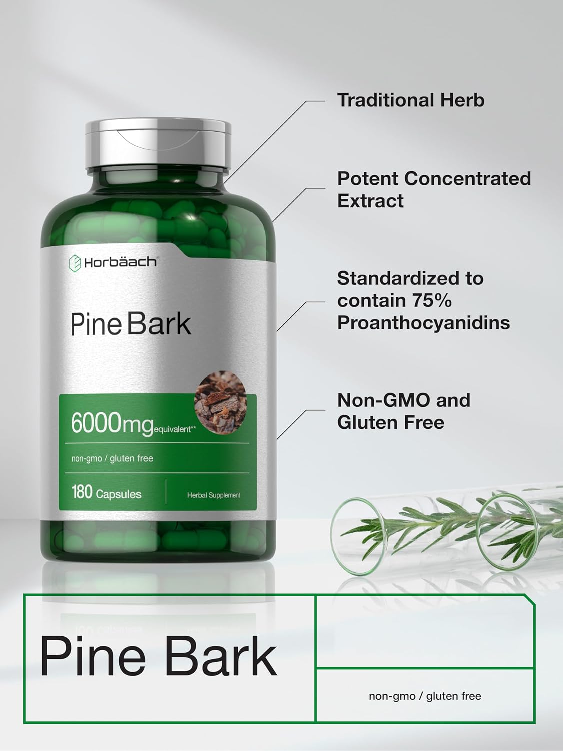 Horbäach Extracto de Corteza de Pino | 180 Cápsulas | Estandarizado al 75% de Proantocianidinas | Alta Potencia