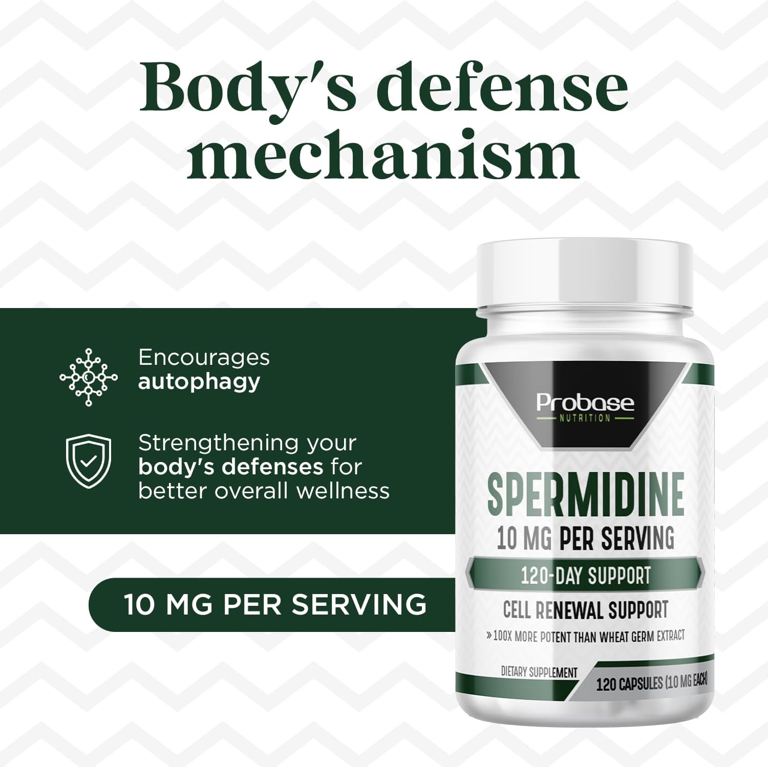 Probase Nutrition Spermidina (10mg de Spermidina 99% 3HCL) 120 Cápsulas