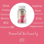 Feed Mom & Me Vitamina Prenatal + DHA, 22 Vitaminas y Minerales para el Apoyo Nutricional de la Madre y el Bebé - 30 Días