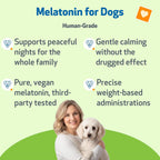 Pet Wellbeing Melatonina para Perros - Suplemento Líquido para la Salud Adrenal y el Equilibrio de Cortisol - 59 ml (2 oz)