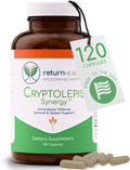 Return Healthy Cryptolepis Synergy – Complemento de apoyo inmunológico, 120 cápsulas
