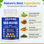 LIIZONE Cápsulas de Sea Moss Complejo con Ashwagandha, Turmeric y Vitamina C - Aceite de Semilla Negra para Apoyo Inmunitario, Articulaciones y Salud Digestiva - 60 Cápsulas