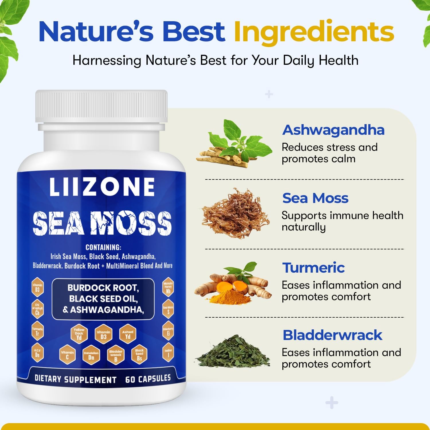 LIIZONE Cápsulas de Sea Moss Complejo con Ashwagandha, Turmeric y Vitamina C - Aceite de Semilla Negra para Apoyo Inmunitario, Articulaciones y Salud Digestiva - 60 Cápsulas