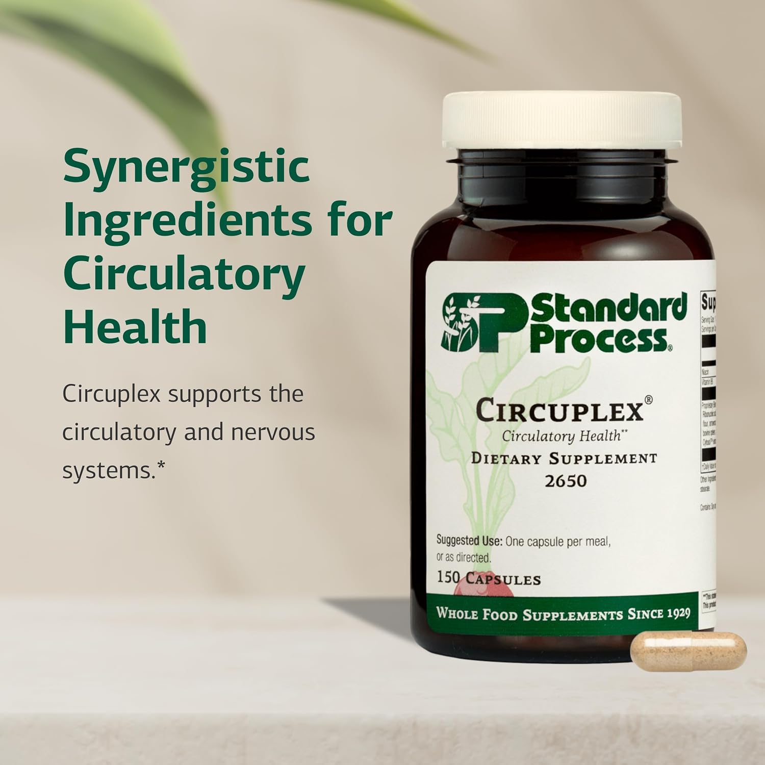 Standard Process Circuplex - Complemento para la Salud Vascular y Nerviosa con Niacina y Vitamina B6 - Sin Lácteos - 150 Cápsulas