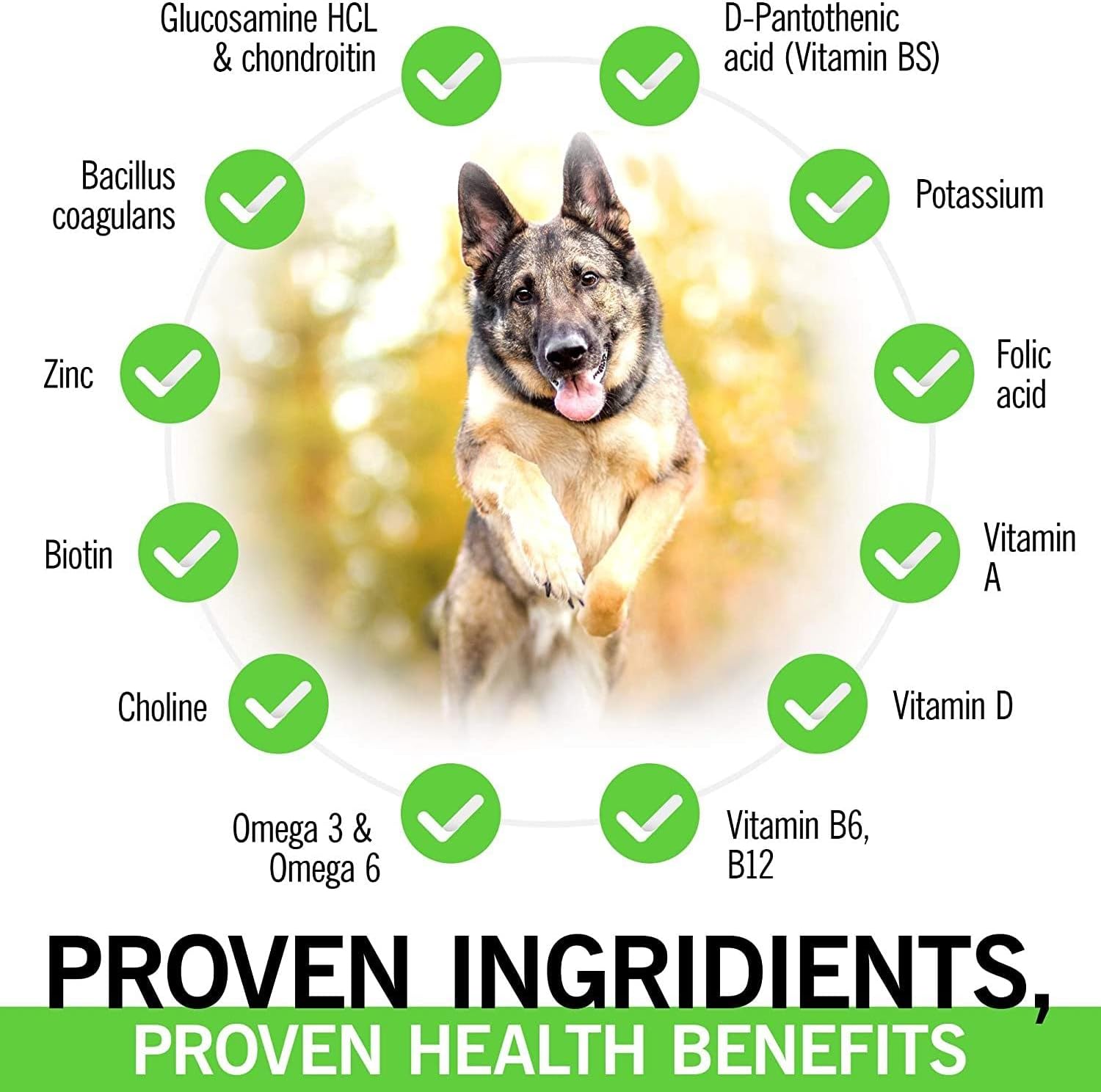 IE 4 in 1 Multivitamínicos para Perros | Apoyo Articular, Salud Inmunológica, Piel y Corazón | 90 Masticables Suaves