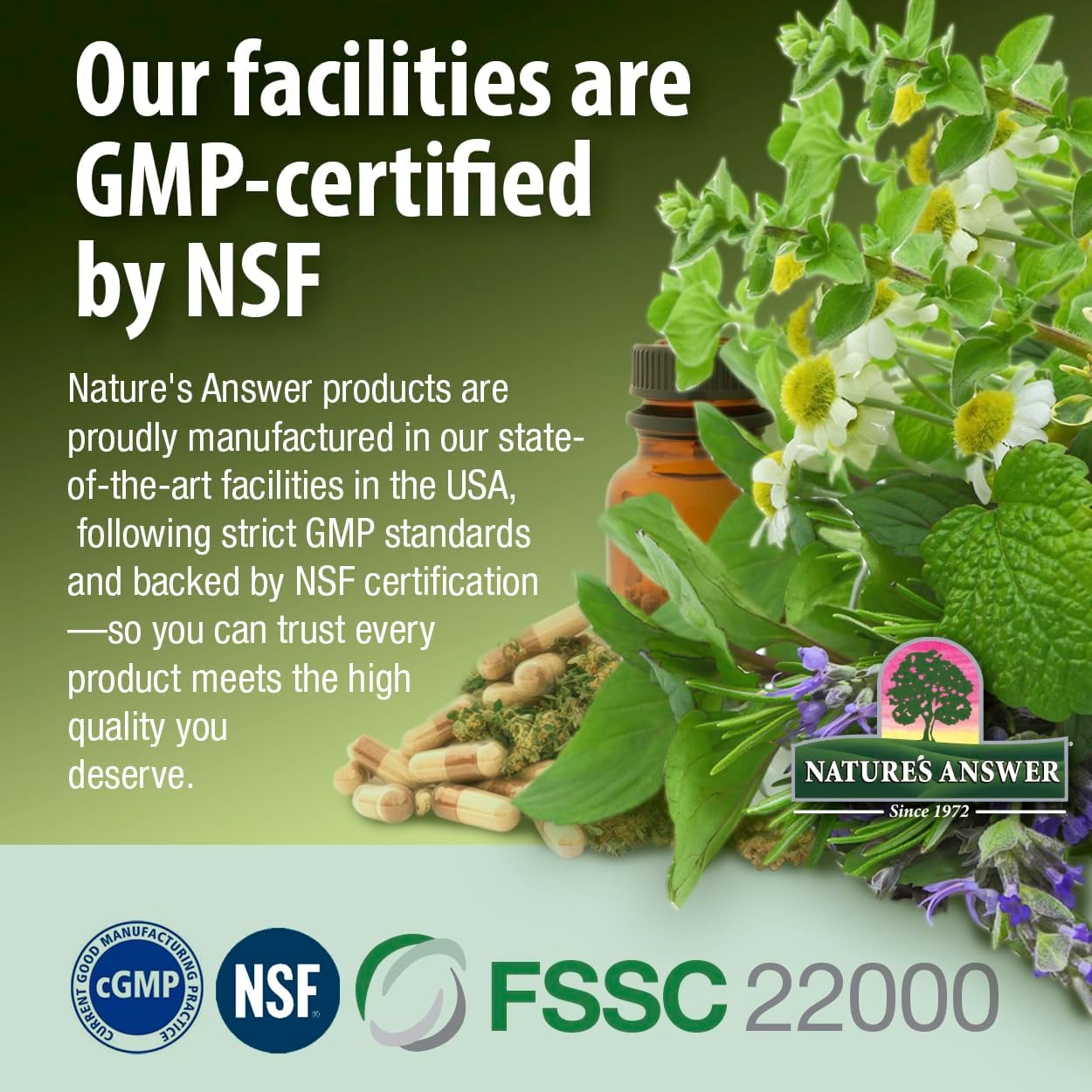 Nature's Answer Burdock Root, 90 Capsules