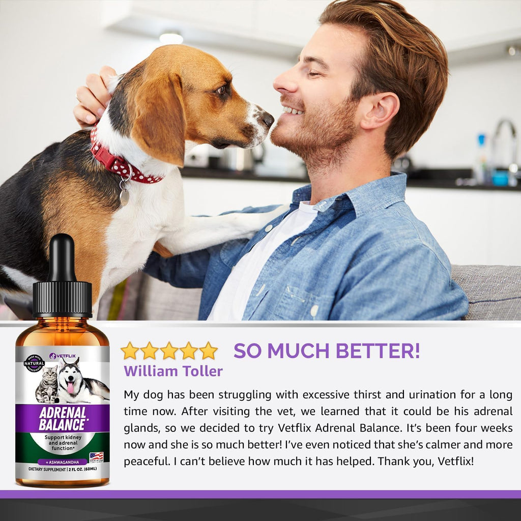 Adrenal Support Liquid Supplement for Dogs, Cats, Puppies & Kittens, 2 Oz