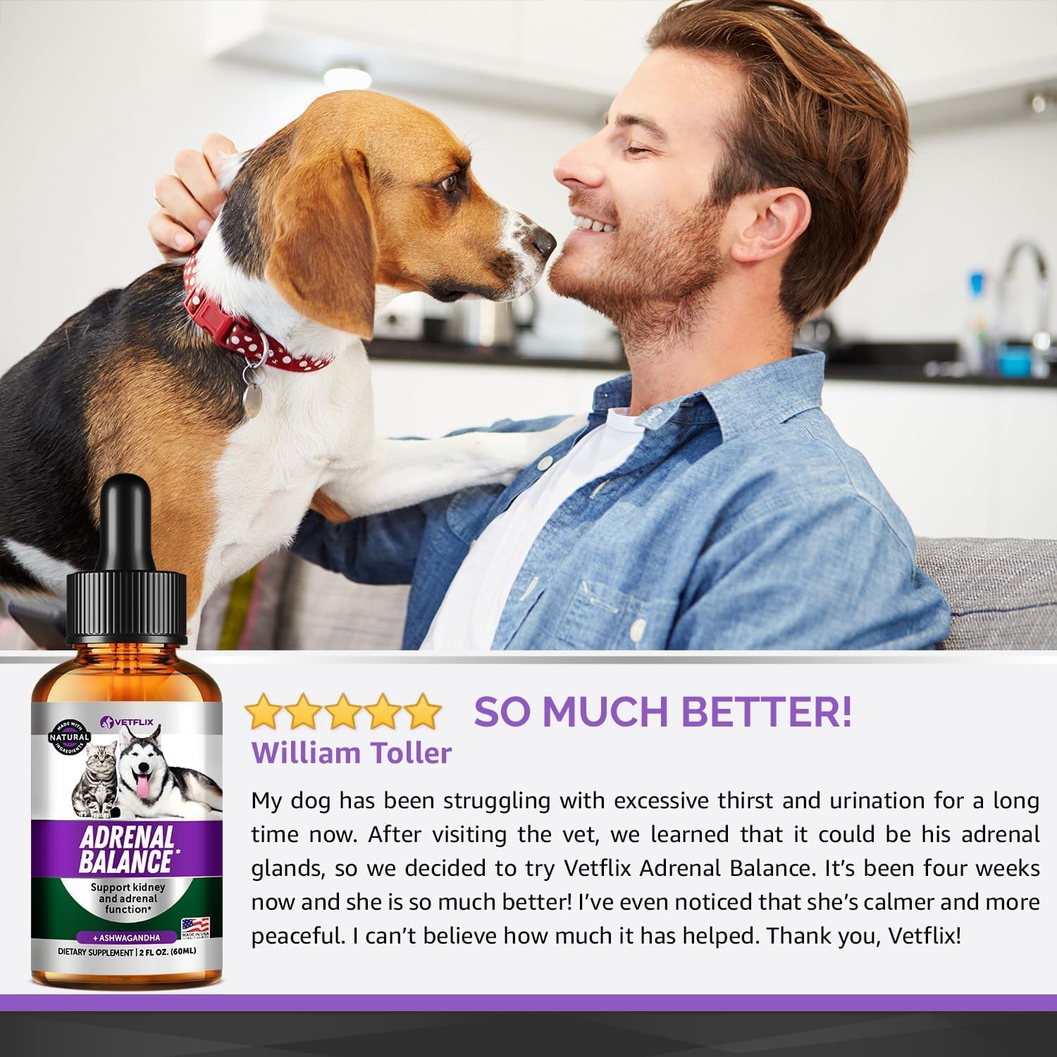 Adrenal Support Liquid Supplement for Dogs, Cats, Puppies & Kittens, 2 Oz