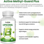 Complejo B Liposomal con B12 Metilada y 5-MTHF - 90 Cápsulas (3 Meses)