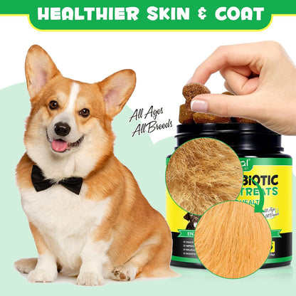 Probióticos para Perros (Pato, 30 – Favorecer la recuperación tras tratamientos con antibióticos o cambios en la – Image 4