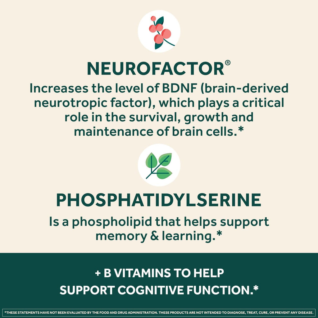 NEURIVA Plus Complemento Alimenticio para el Cerebro, Memoria y Concentración con Fosfatidilserina y Neurofactor, Vitaminas B6 y B12, 90 Cápsulas (3 Envases de 30)