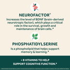NEURIVA Plus Complemento Alimenticio para el Cerebro, Memoria y Concentración con Fosfatidilserina y Neurofactor, Vitaminas B6 y B12, 90 Cápsulas (3 Envases de 30)