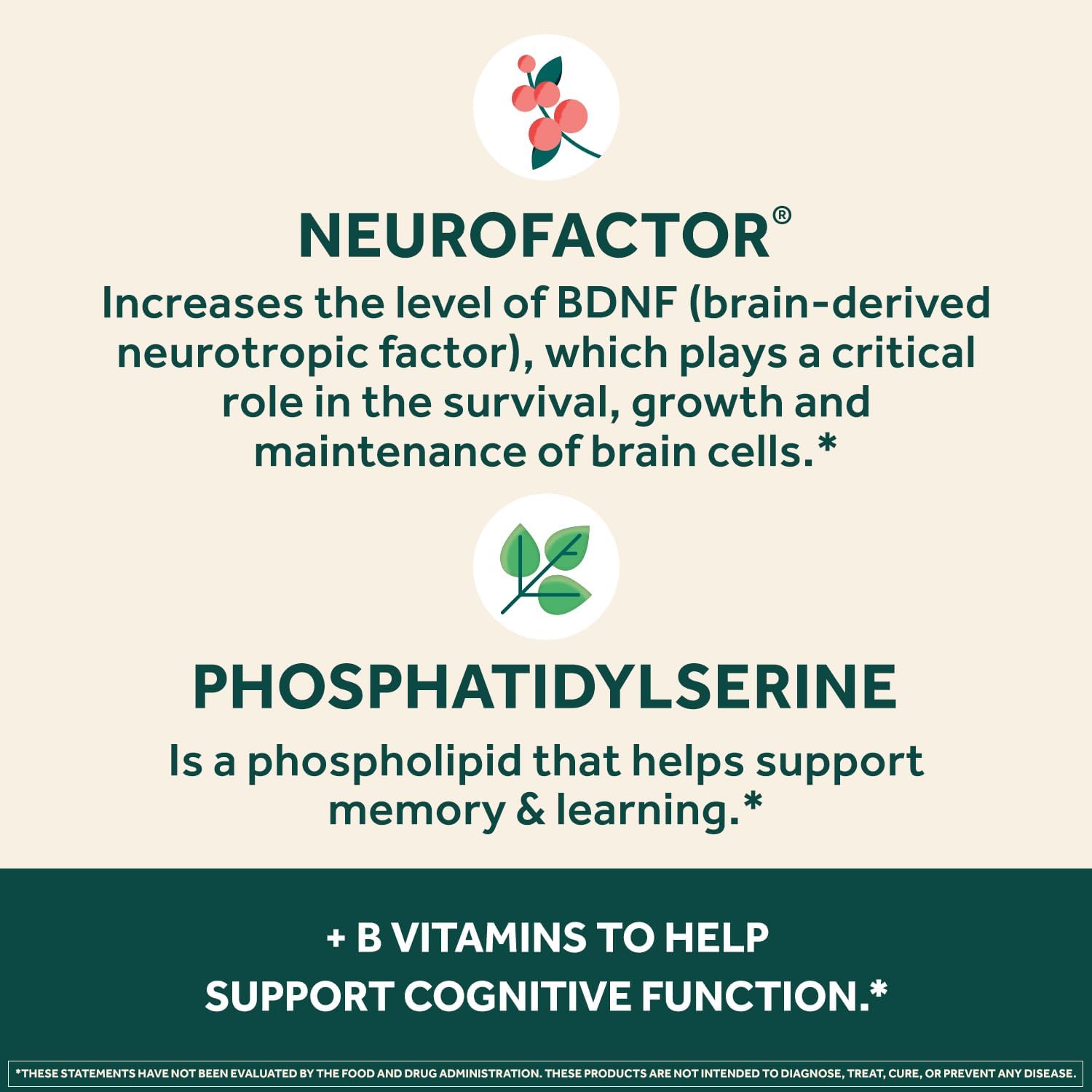 NEURIVA Plus Complemento Alimenticio para el Cerebro, Memoria y Concentración con Fosfatidilserina y Neurofactor, Vitaminas B6 y B12, 90 Cápsulas (3 Envases de 30)