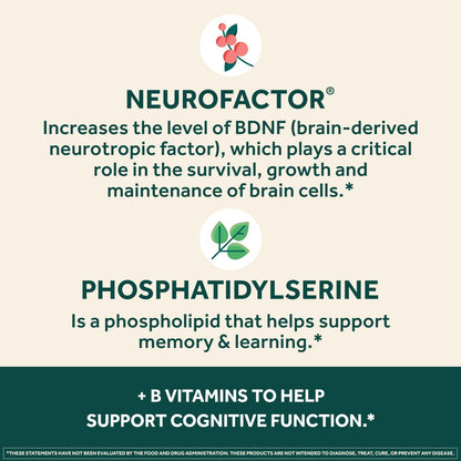 NEURIVA Plus Complemento Alimenticio para el Cerebro, Memoria y Concentración con Fosfatidilserina y Neurofactor, Vitaminas – Image 4