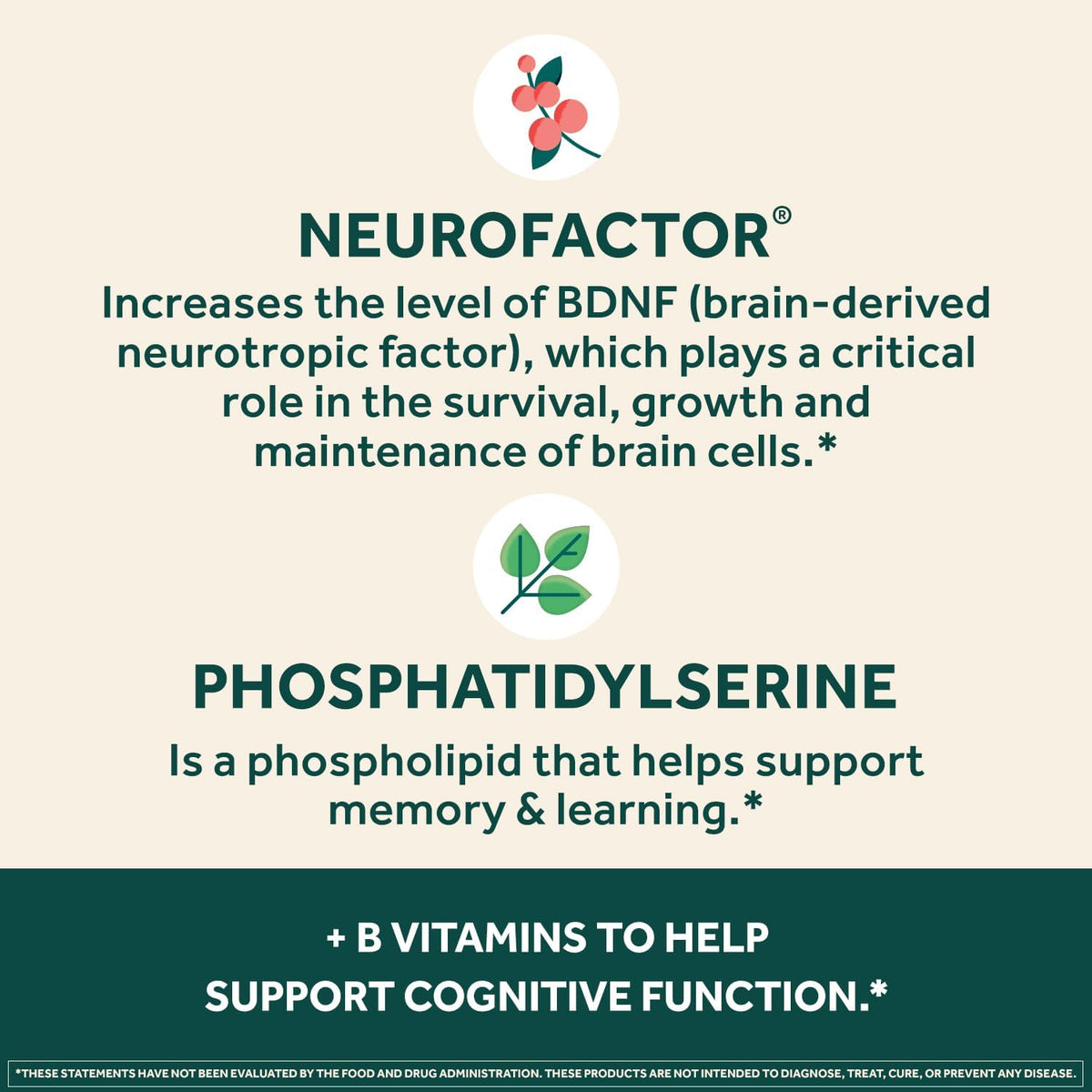 NEURIVA Plus Cápsulas para el Apoyo – Fosfatidilserina (100 mg): Un fosfolípido natural presente en las membranas – Image 5