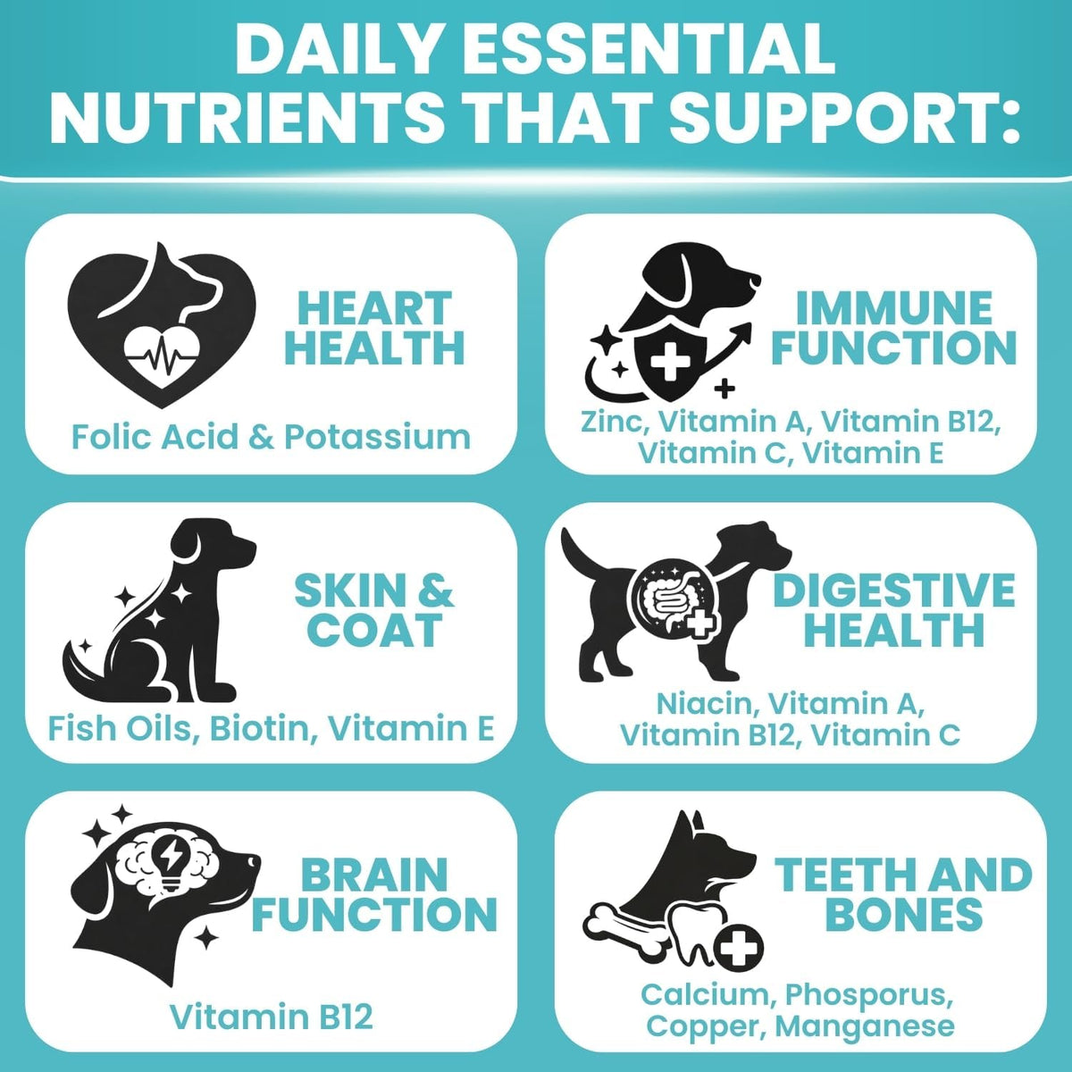 TRATEZ Multivitamínico para Perros 25-en-1 - – Articulaciones y movilidad: componentes que pueden apoyar la – Image 3