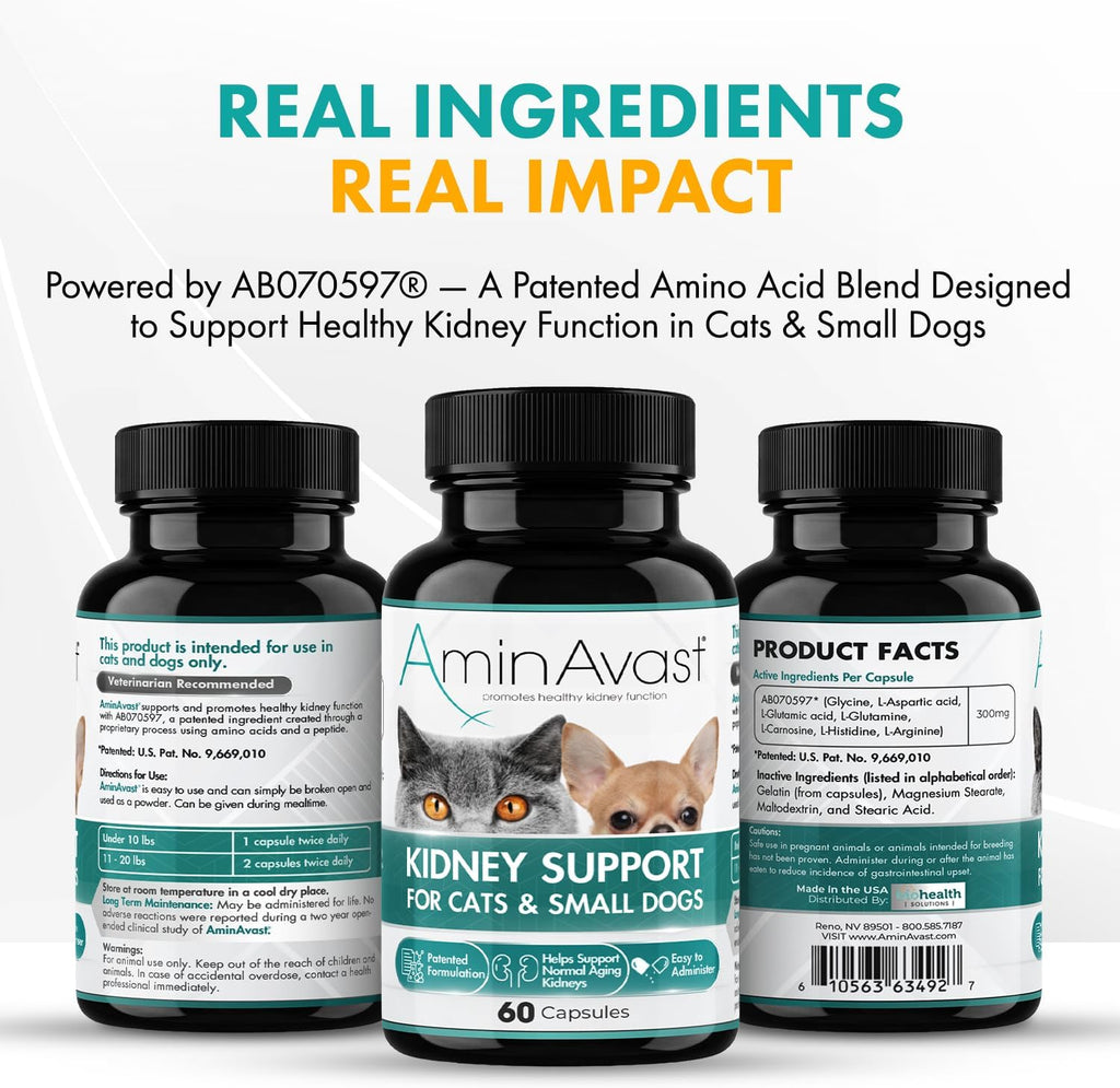 AminAvast Suplemento de Apoyo Renal para Gatos y Perros Pequeños, 300mg (Pack de 3) - 60 Cápsulas Espolvoreables