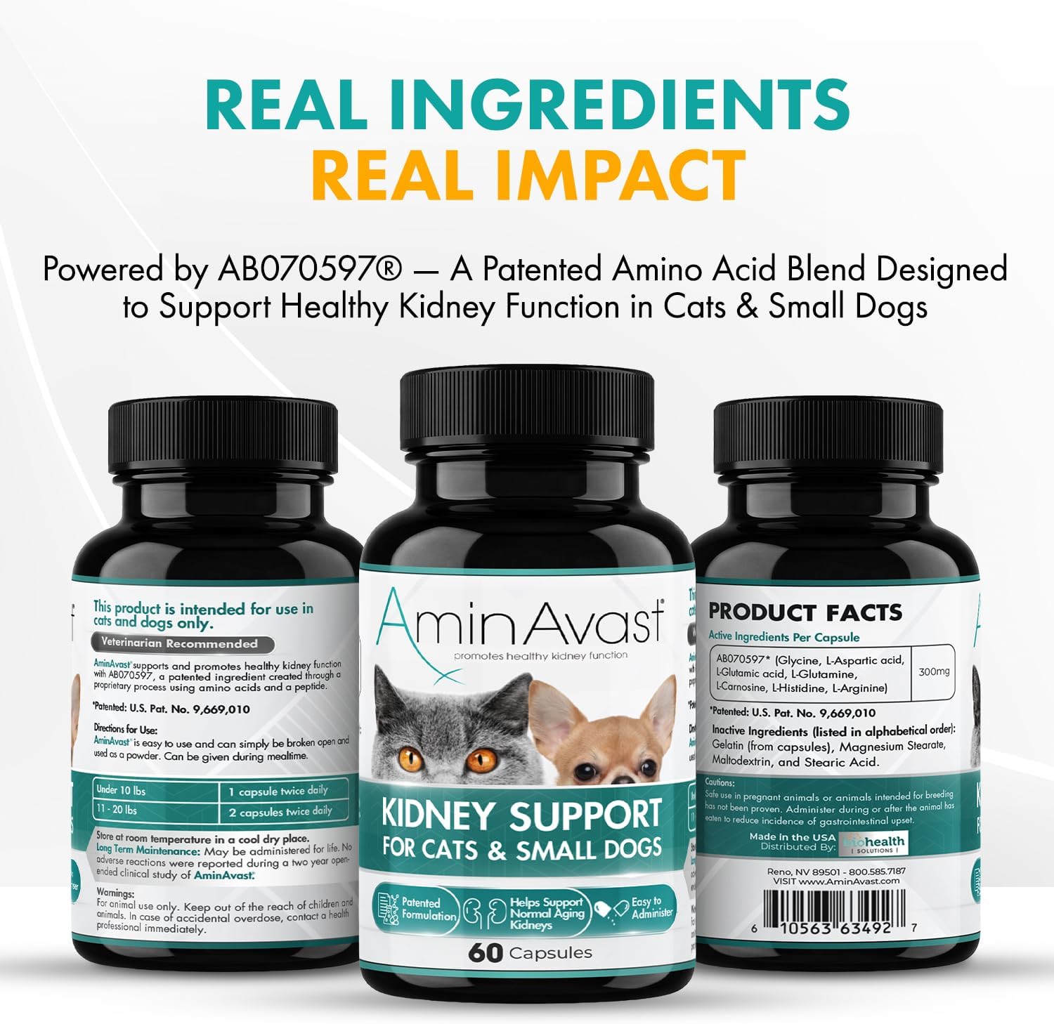 AminAvast Suplemento de Apoyo Renal para Gatos y Perros Pequeños, 300mg (Pack de 3) - 60 Cápsulas Espolvoreables