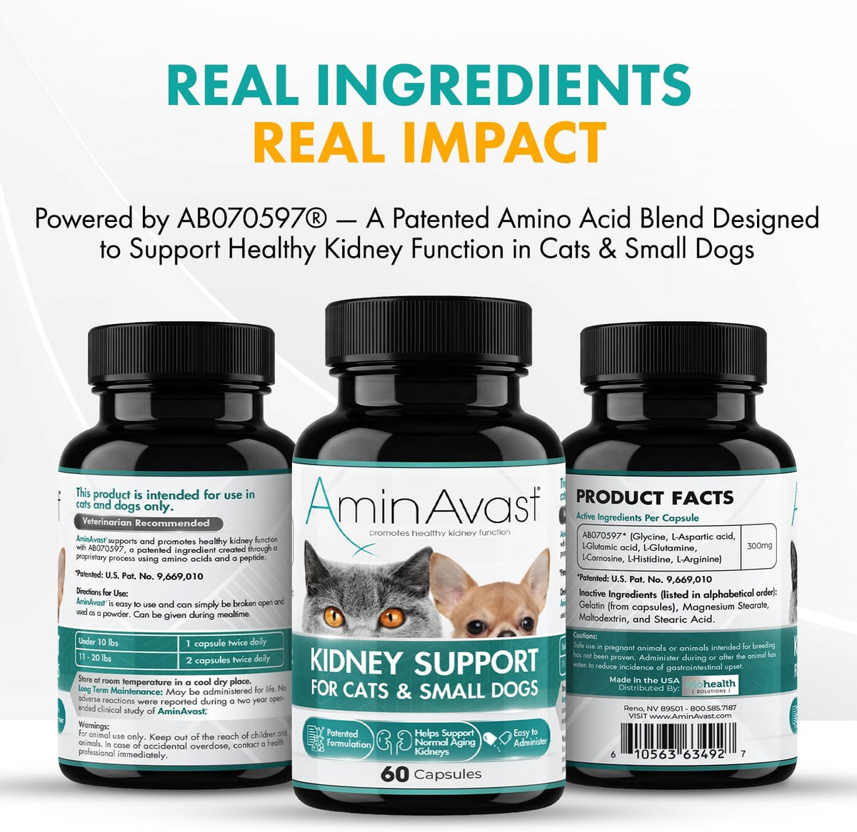 AminAvast Kidney Support Supplement for Cats and Small Dogs, 300mg – 60 Cápsulas (2-Pack) – Image 5