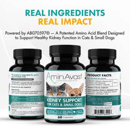 AminAvast Kidney Support Supplement for Cats and Small Dogs, 300mg – 60 Cápsulas (2-Pack) – Image 5