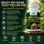 GREEN VALLEY NATURALS Brain Vitality Plus™ – Apoyo Cognitivo para Memoria, Concentración y Claridad Mental con Cognizin® Citicolina, Bacopa Monnieri y DHA Omega-3 | 60 Cápsulas Blandas