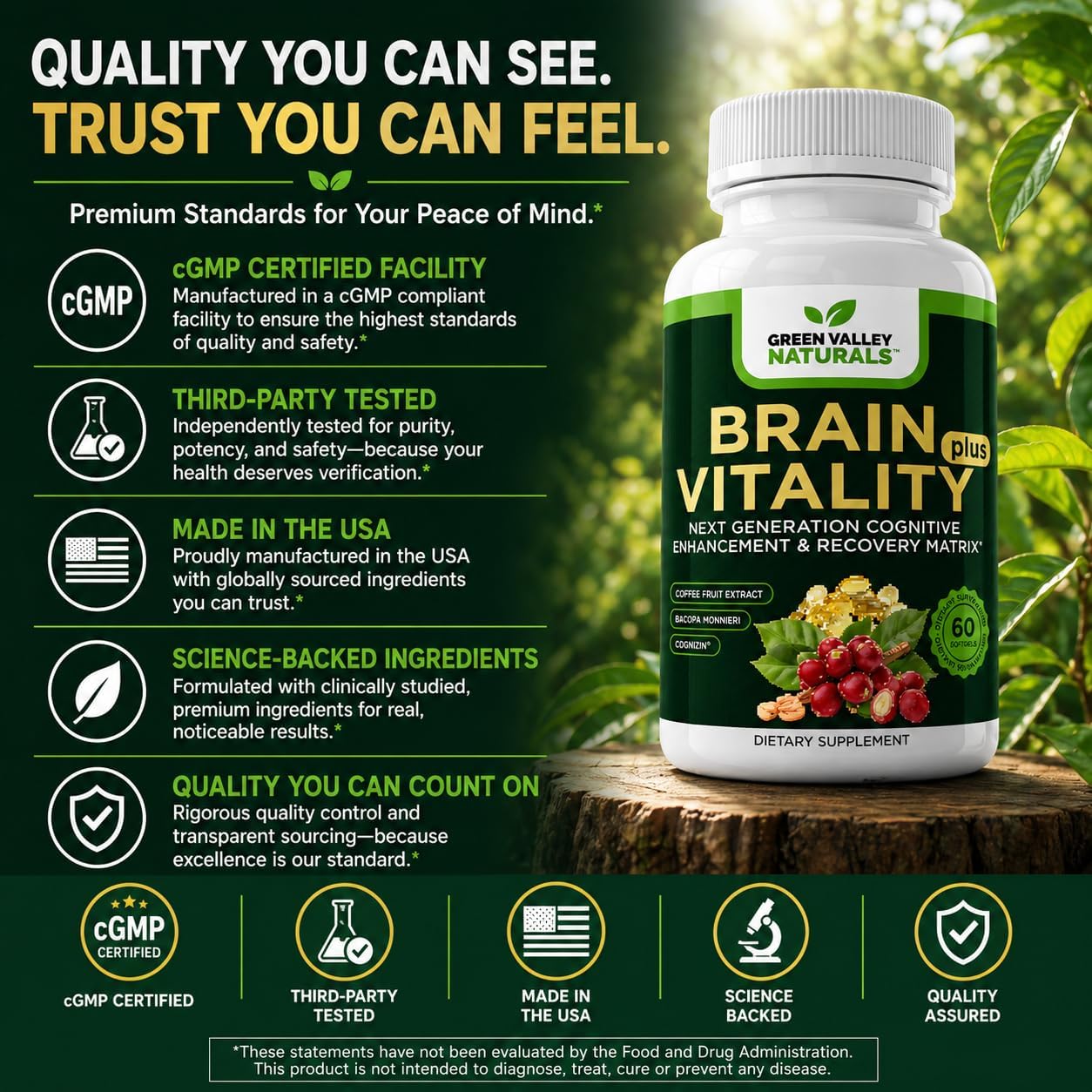 GREEN VALLEY NATURALS Brain Vitality Plus™ – Apoyo Cognitivo para Memoria, Concentración y Claridad Mental con Cognizin® Citicolina, Bacopa Monnieri y DHA Omega-3 | 60 Cápsulas Blandas