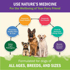 Zenapet Dog Immune Support Premium Powder Topper
