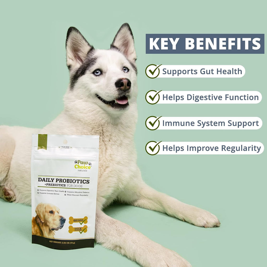 Paw Choice Probióticos para Perros con Prebióticos - Masticables Diarios para la Salud Intestinal, Digestión, Regularidad y Apoyo Inmunológico - Suplemento Natural en Forma de Golosina Hecho en EE. UU.