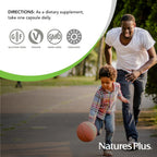 NaturesPlus Source of Life Garden Vitamin K2 - 60 Capsules - Healthy Bone Support - Organic, Vegan, Gluten-Free