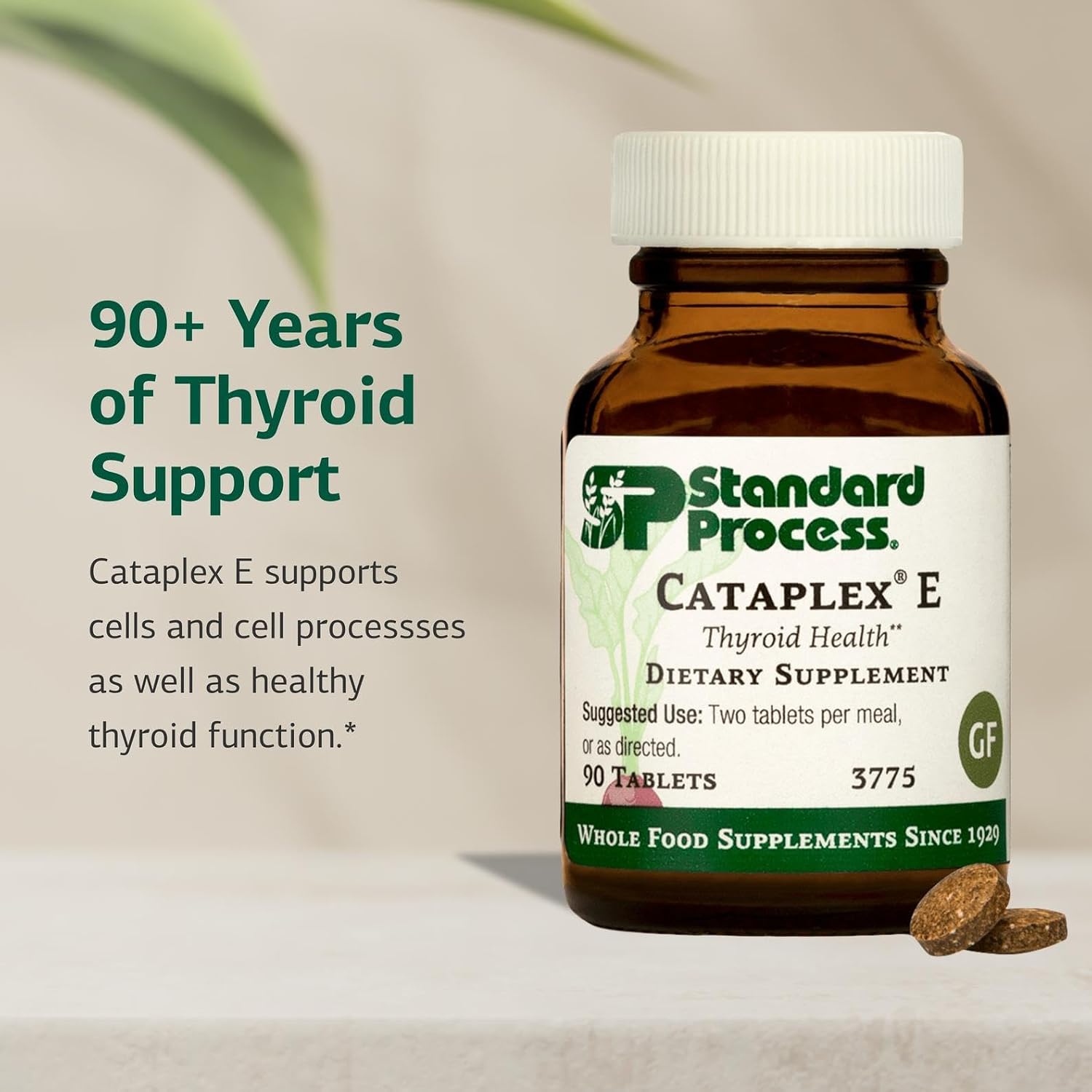 Standard Process Cataplex E - Vitamin E and Selenium Supplement for Thyroid Health - 90 Tablets