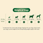 Ocu-GLO for Medium and Large Dogs (11+ lb), 90 Tablets