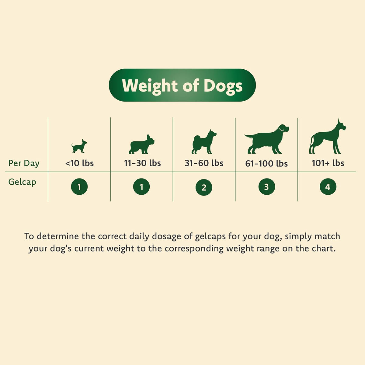 Ocu-GLO para Perros Medianos y Grandes (11+ – Contribuye a la protección contra el daño oxidativo. – Image 7