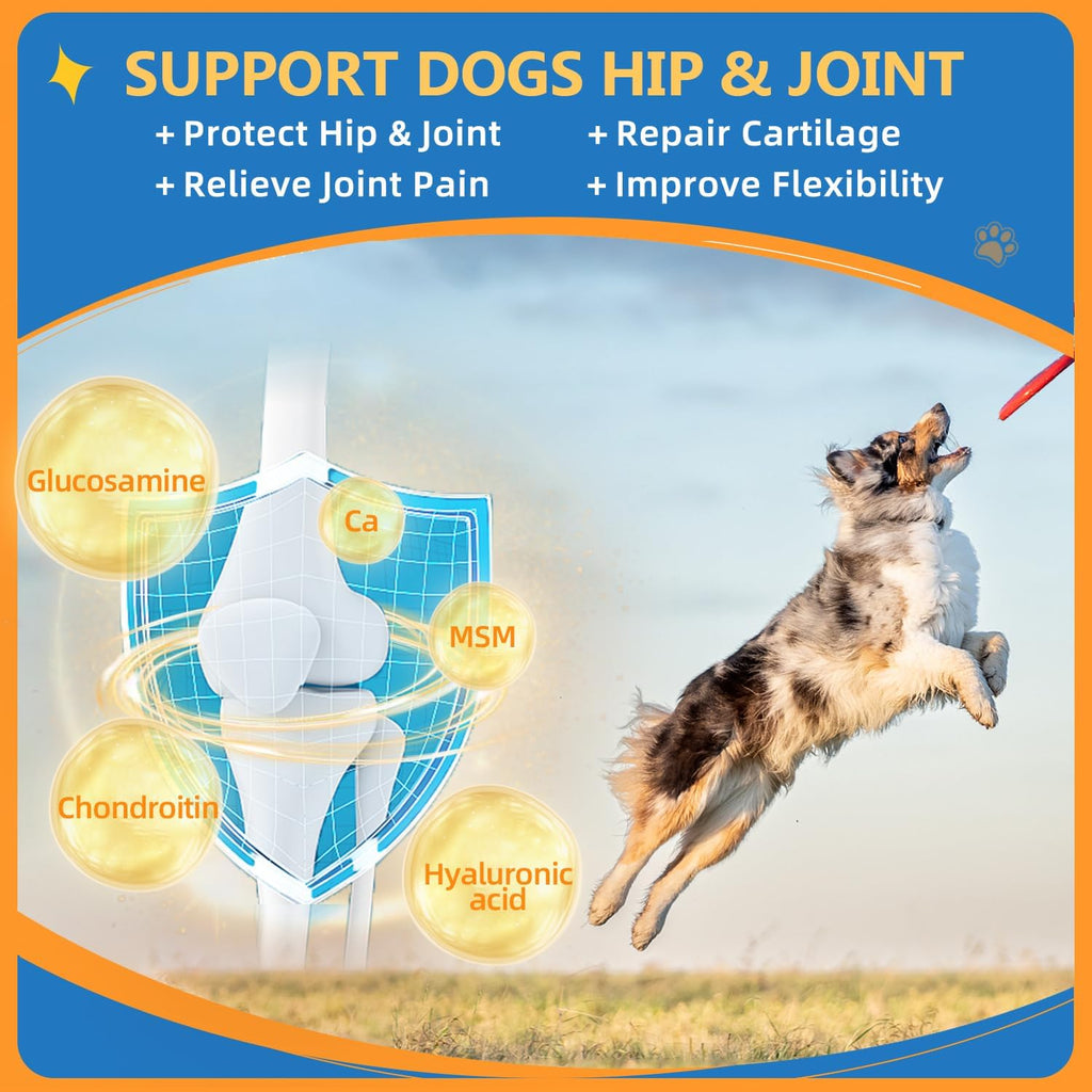 ZEBORA Polvo Multivitamínico para Perros - Glucosamina, Probióticos, Omega 3