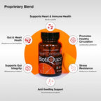 BiotiQuest Heart Centered Probiotics – 20 Billion CFU, 60 Cápsulas