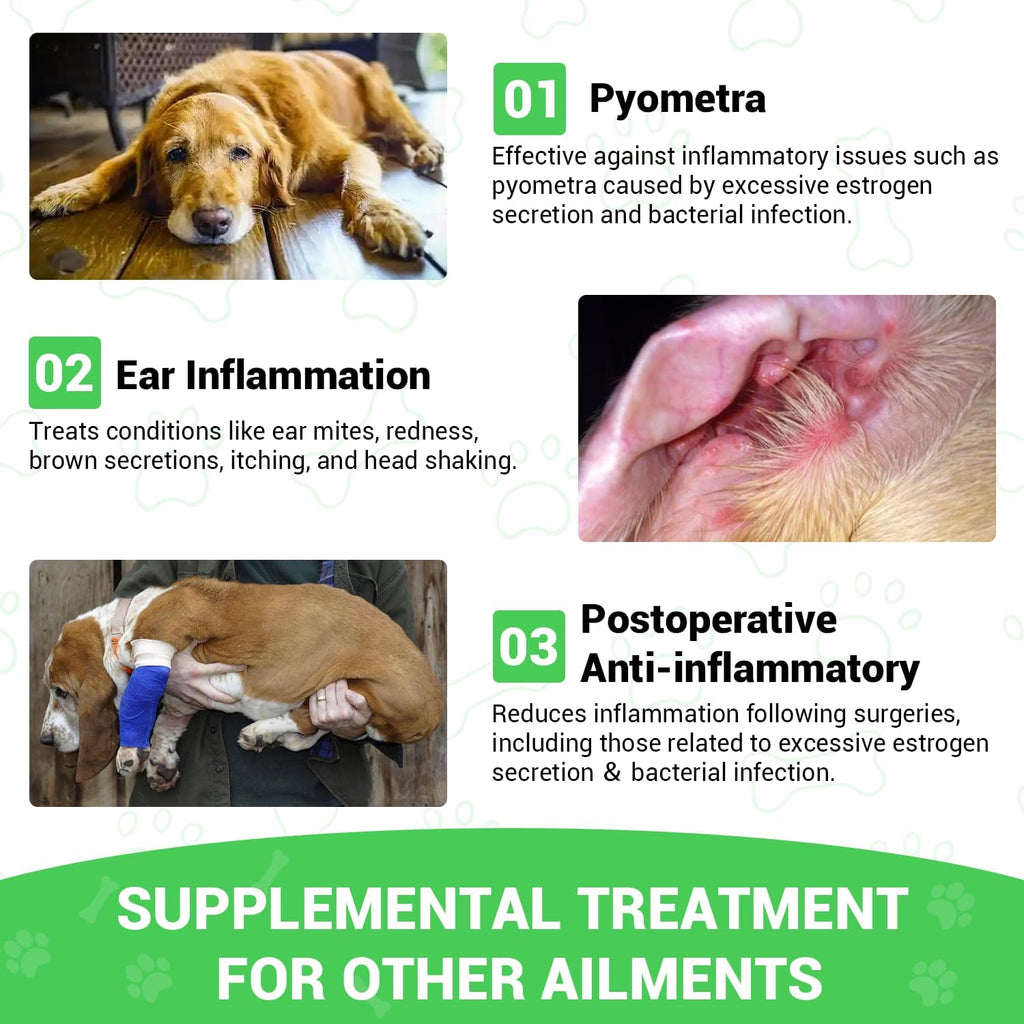 Cardo Mariano para Perros - Apoyo Hepático y Renal, con Aceite de Salmón de Alaska y Cúrcuma - Complemento Herbario Formulado por Veterinarios (2 Envases de 59 ml)