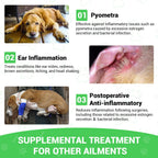 Cardo Mariano para Perros - Apoyo Hepático y Renal, con Aceite de Salmón de Alaska y Cúrcuma - Complemento Herbario Formulado por Veterinarios (2 Envases de 59 ml)