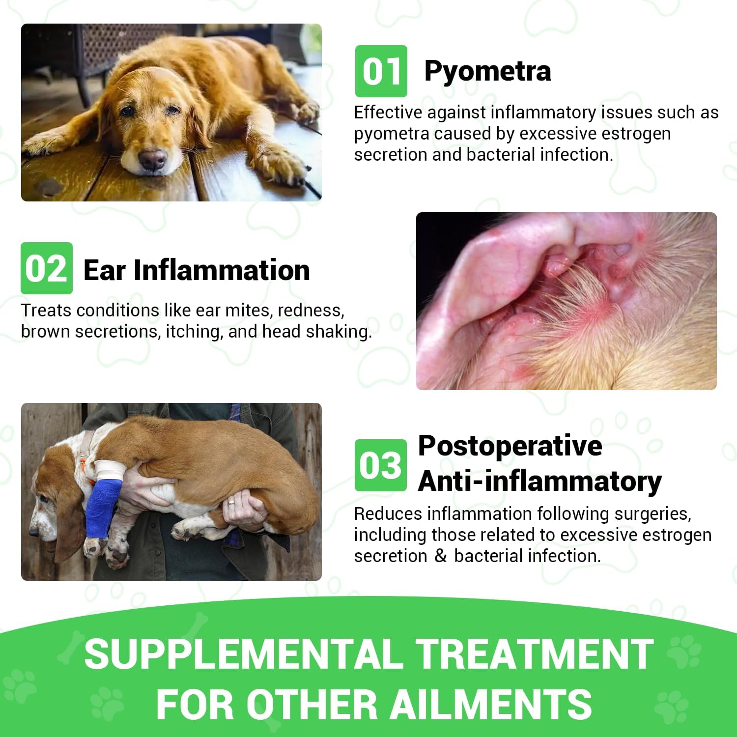 Cardo Mariano para Perros - Apoyo Hepático y Renal, con Aceite de Salmón de Alaska y Cúrcuma - Complemento Herbario Formulado por Veterinarios (2 Envases de 59 ml)