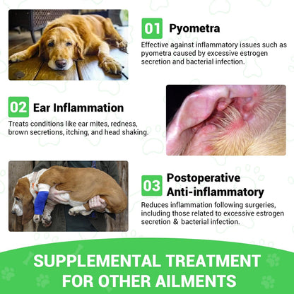 Cardo Mariano para Perros - Apoyo Hepático y – Aceite de salmón salvaje de Alaska: Rico en ácidos grasos omega 3 – Image 6