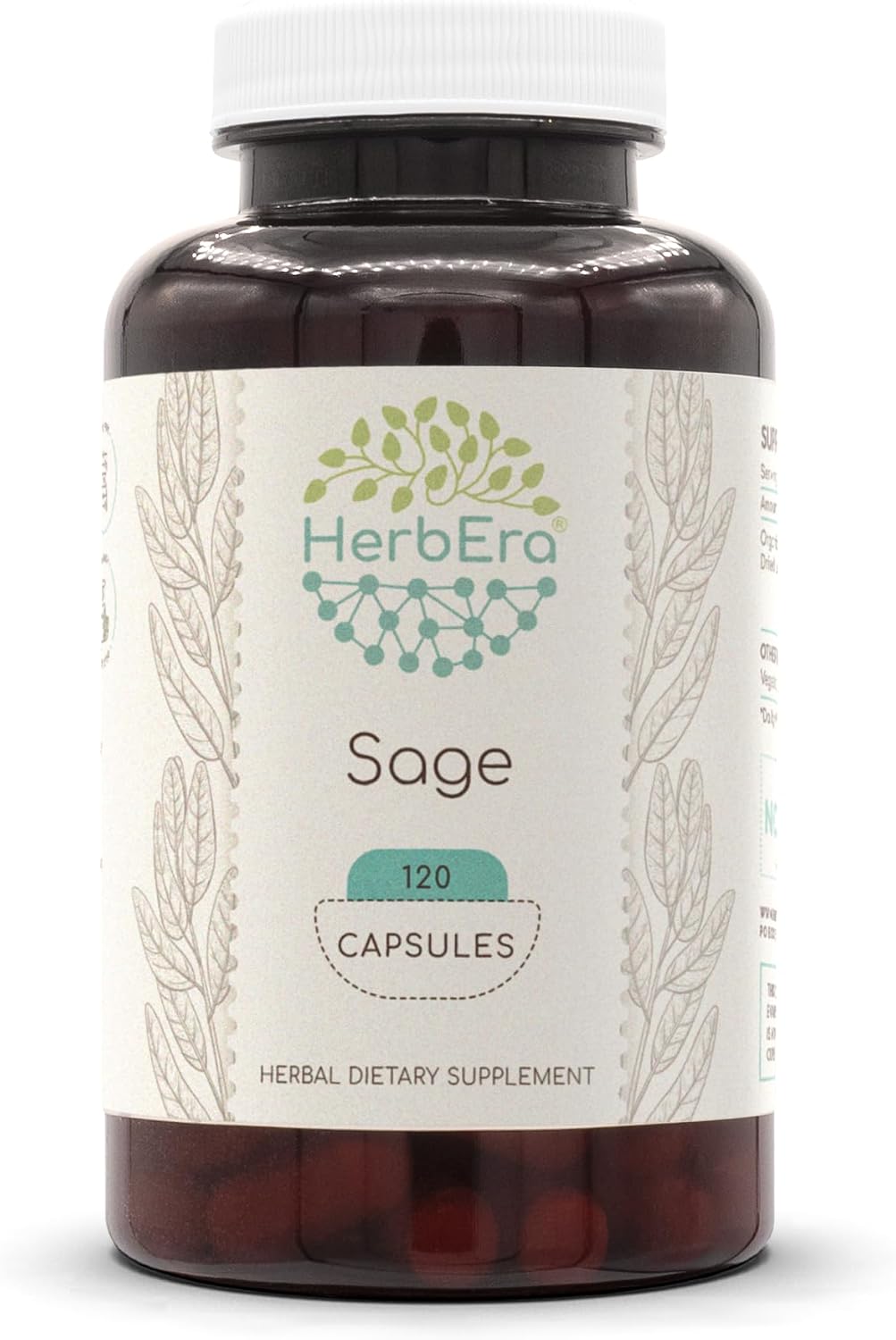 Salvia 120 Cápsulas, 500 mg - Hoja Seca de Salvia (Salvia officinalis)