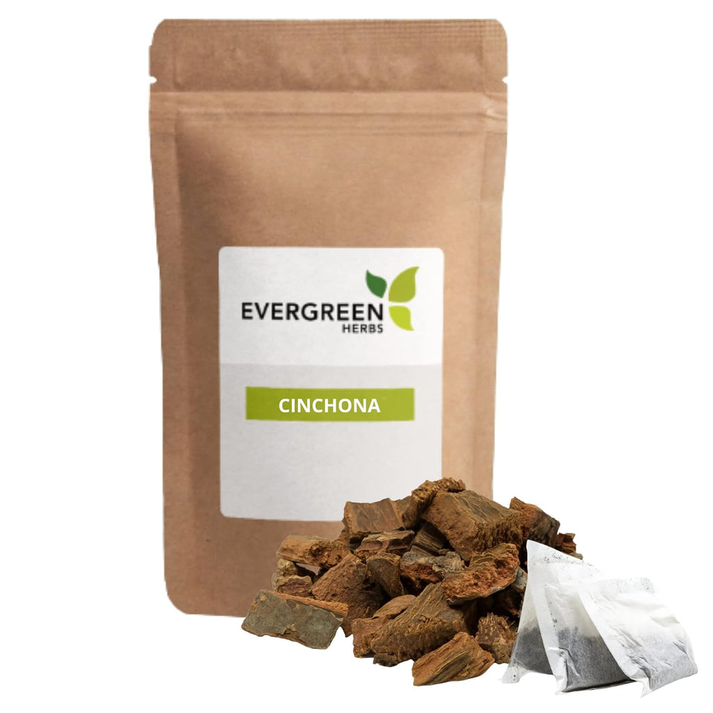 Evergreen Herbs Té de Cinchona (Quina) - Bolsitas, Bolsa Resellable (8 oz)