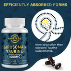 lipmaxmall Taurina Liposomal 1000mg, Aminoácido de Alta Absorción para Corazón, Nervios, Cerebro y Visión (60 Cápsulas Blandas - 1 Pack)