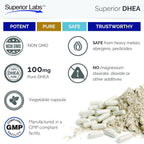 Superior Labs DHEA 100 mg - 60 Cápsulas Vegetales - Sin OGM