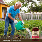 Piping Rock Beta Sitosterol para Hombres | 1200 mg | 180 Cápsulas Blandas | Esteroles Vegetales | No Transgénico, Sin Gluten