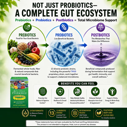 Dr. Ohhira's Probiotics Original Formula – 3 Años de Fermentación Natural Japonesa – 100+10 Cápsulas Vegetarianas – Image 3